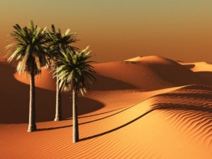 sand dunes for vue Modèle 3D