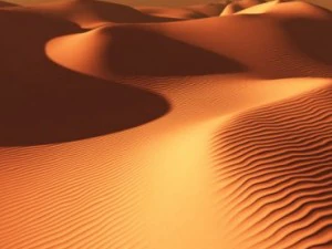 sand dunes for vue 3D Model