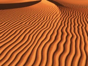 sand dunes for vue 3D Model