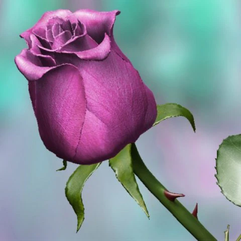 pink rose 3D Model .c4d .max .obj .3ds .fbx .stl .blend