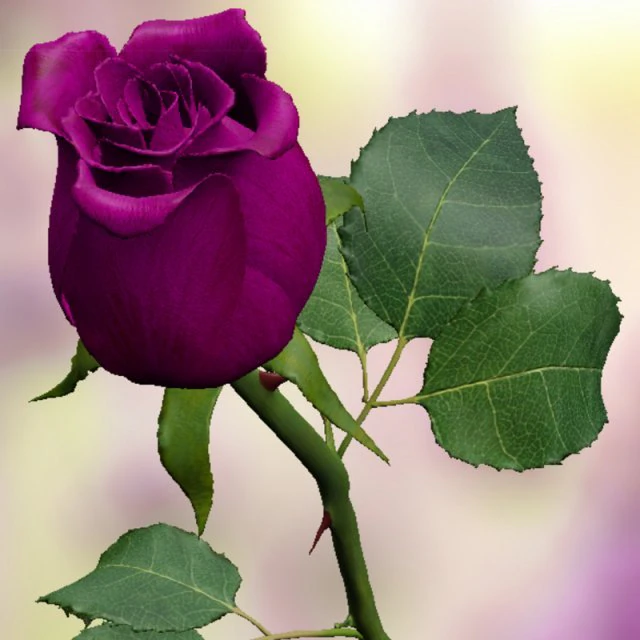 фиолетовая роза 3D Модель .c4d .max .obj .3ds .fbx .stl .blend 