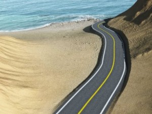 scenic road for vue Model 3D