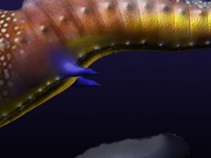leafy sea dragon Modello 3D