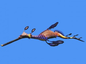 leafy sea dragon Modello 3D