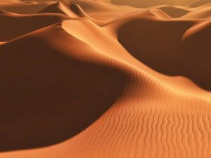 white and gold sand desert 3D Model