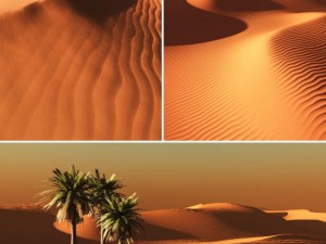 white and gold sand desert 3D 模型