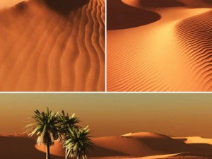 white and gold sand desert 3D Model