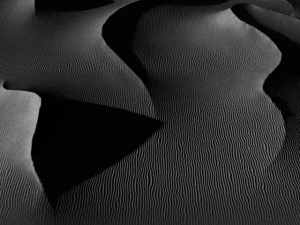 white and gold sand desert 3D Model