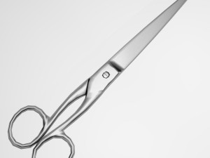 scissors 3D 模型