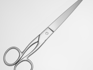 scissors 3D 模型