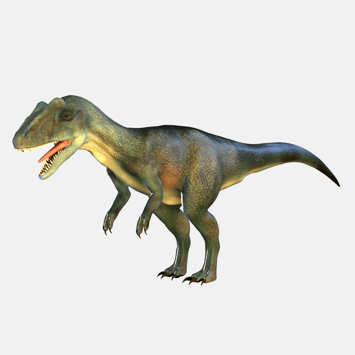 Allosaurus Dinosaur 3D Model .c4d .max .obj .3ds .fbx .stl .blend 