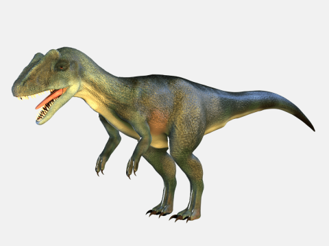 Allosaurus Dinosaur 3D Model