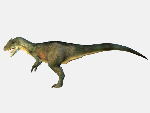 Allosaurus Dinosaur 3D 모델