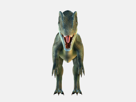 Allosaurus Dinosaur 3D 모델