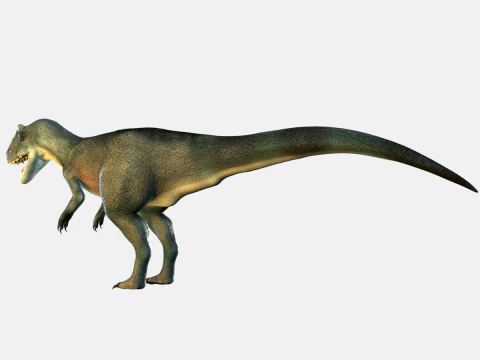 Allosaurus Dinosaur 3D Model