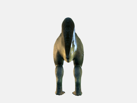 Allosaurus Dinosaur 3D 모델