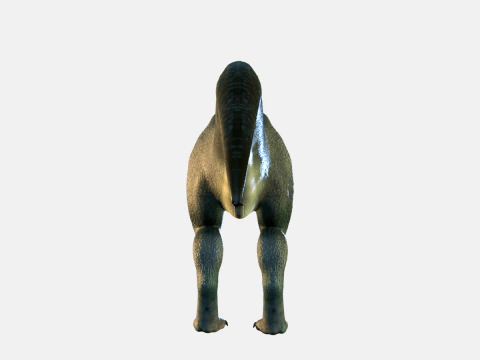 Allosaurus Dinosaur 3D Model