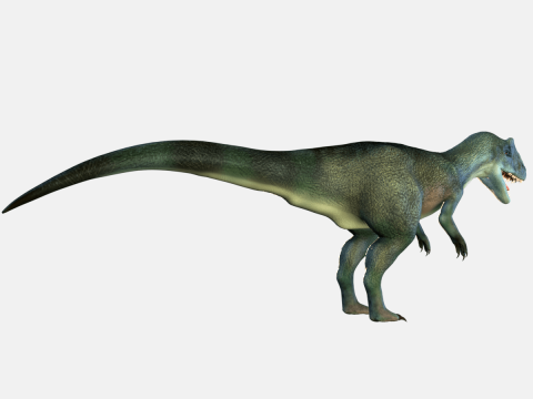 Allosaurus Dinosaur 3D 모델