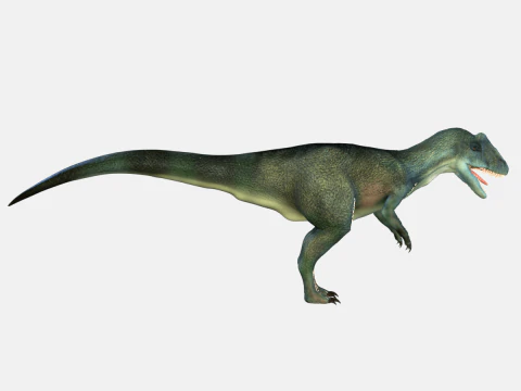 Allosaurus Dinosaur 3D Model