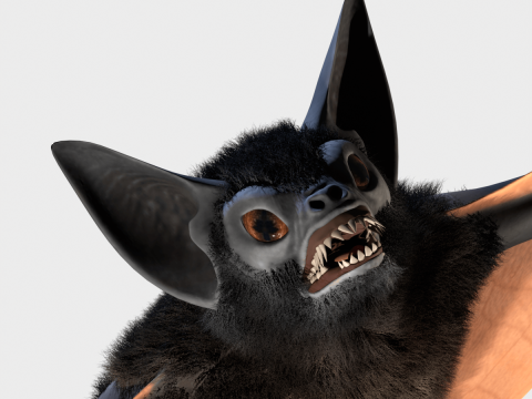 Bat 3D Модель
