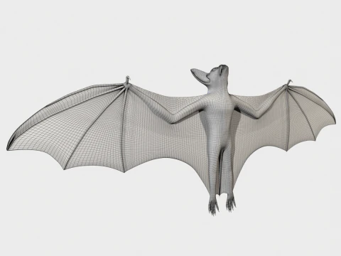 박쥐 3D 모델