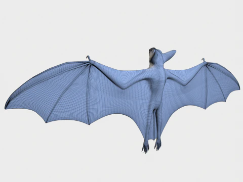 박쥐 3D 모델