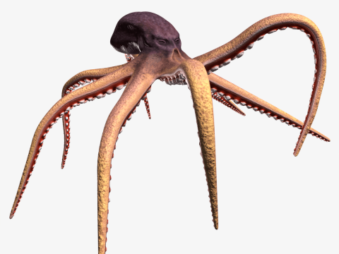 Stylized Octopus 3D-Modell
