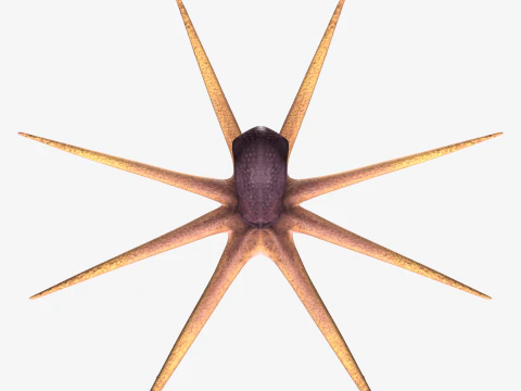 Stylized Octopus 3D Model