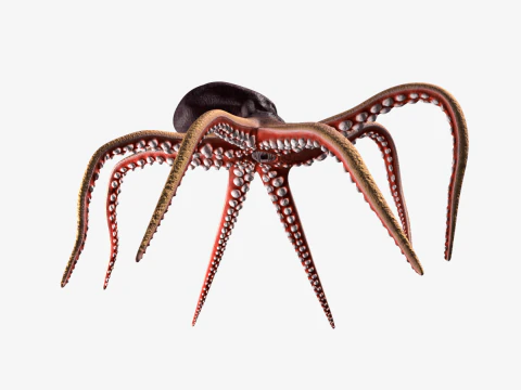 Stylized Octopus 3D Model