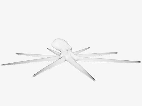 Stylized Octopus 3D Model