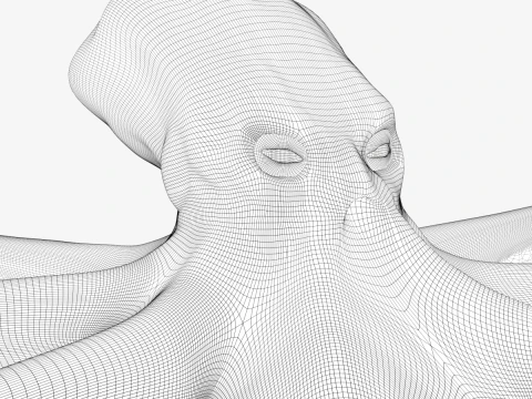 Stylized Octopus 3D Model