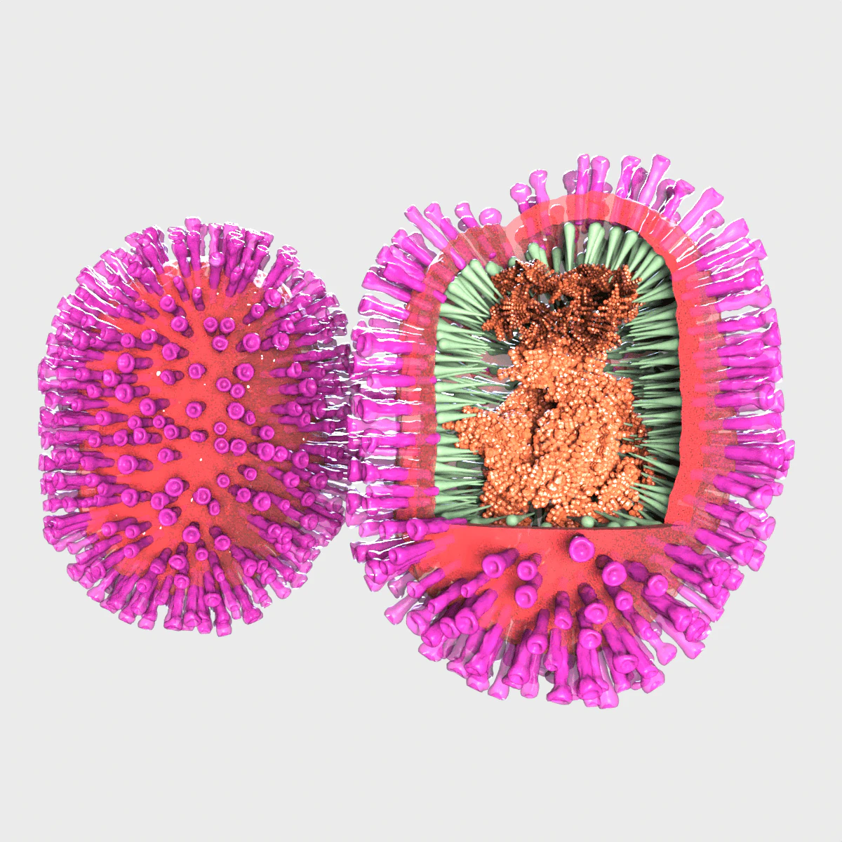 Flu Influenza Molecule 3D Model .c4d .max .obj .3ds .fbx .stl .blend 