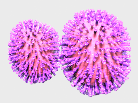 Flu Influenza Molecule 3Dモデル