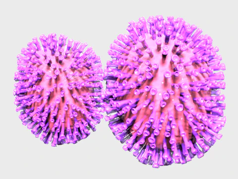 Flu Influenza Molecule 3D Model
