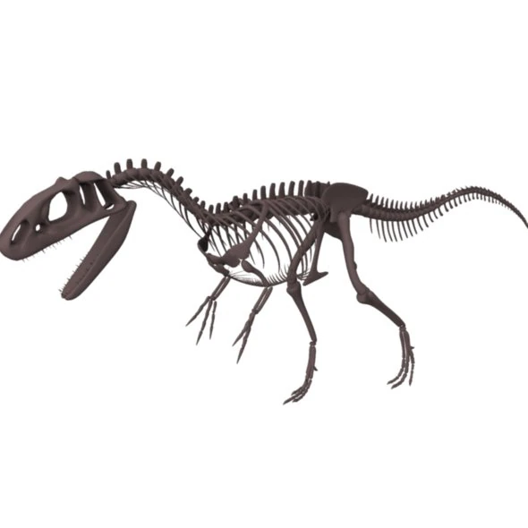 allosaurus skeleton 3D Model .c4d .max .obj .3ds .fbx .stl .blend 