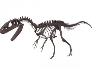 allosaurus skeleton 3D-Modell