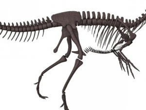 allosaurus skeleton 3D Model