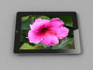 apple ipad 3 3g 3D 模型