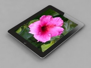 apple ipad 3 3g 3D 模型