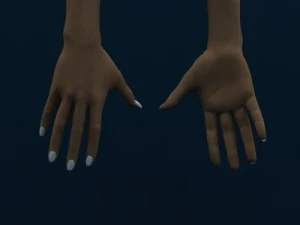 женский 3D Модель