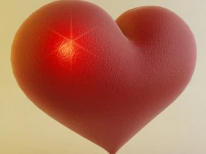 heart 3D Model