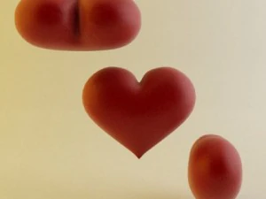 heart 3D Model