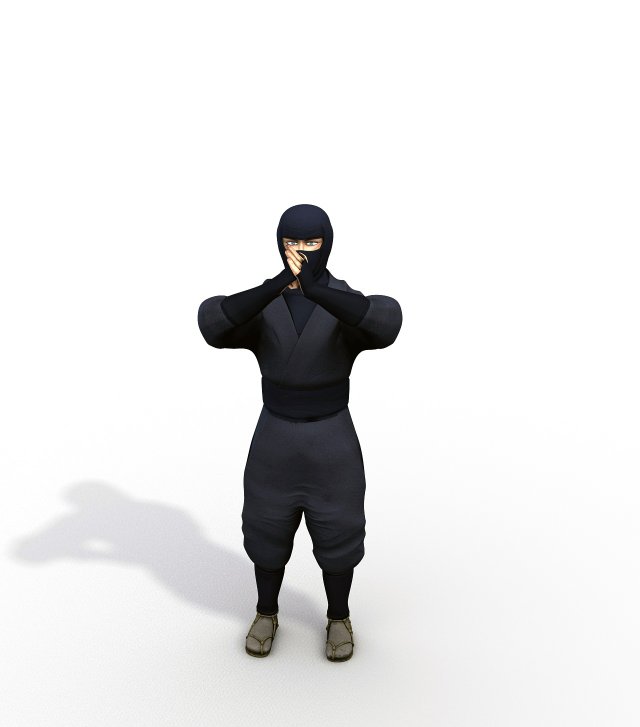 ninja 3D Model .c4d .max .obj .3ds .fbx .stl .blend 