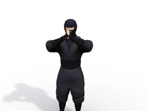 ninja Modello 3D