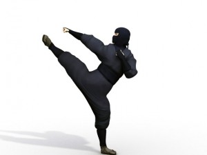 ninja 3D Model