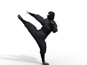 ninja 3D Model