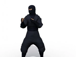 ninja 3D Model