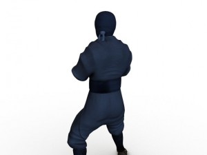 ninja 3D Model