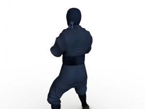ninja 3D Model