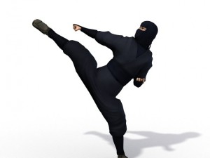 ninja 3D Model